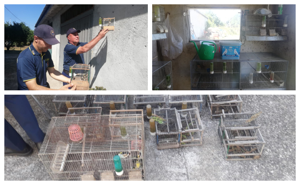 operazione anti bracconaggio Sibaritide