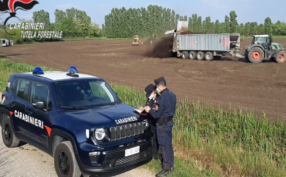 Tonnellate di fanghi industriali nei terreni del cosentino da altre Regioni e oltre 1 mln di profitti 51 operazione forestali ev
