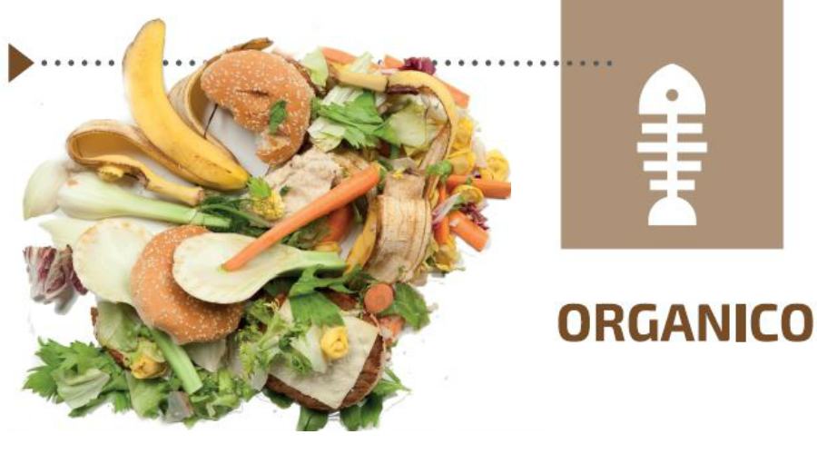 organico ecologia oggi