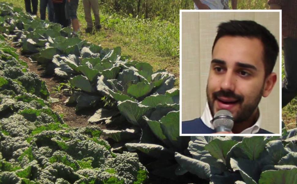 orti urbani davide tavernise 5 stelle