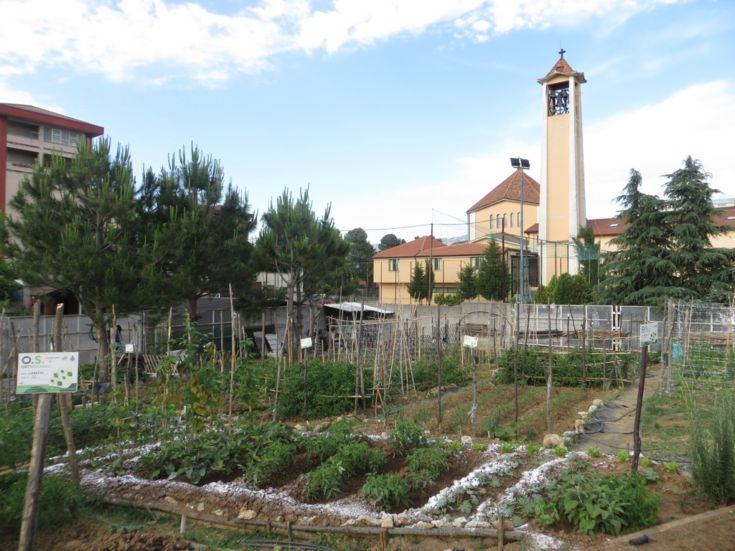 Orti solidali a Cosenza e Castrolibero contro l'esclusione sociale 62 orti sociali cosenza