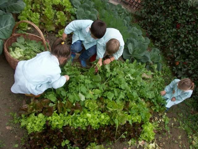 orto a scuola bambini