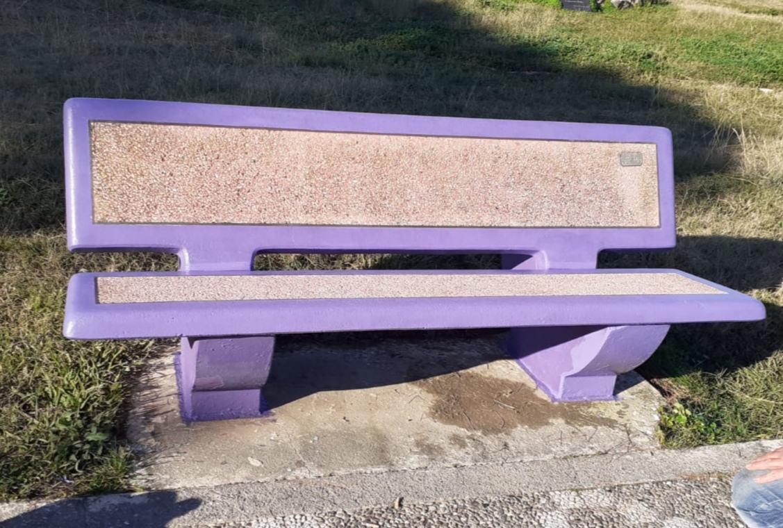 Giornata contro l'epilessia, a Scalea la panchina viola dell'Aice 59 panchina viola