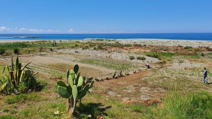 paola spiaggia occupazione abusiva polizia 01