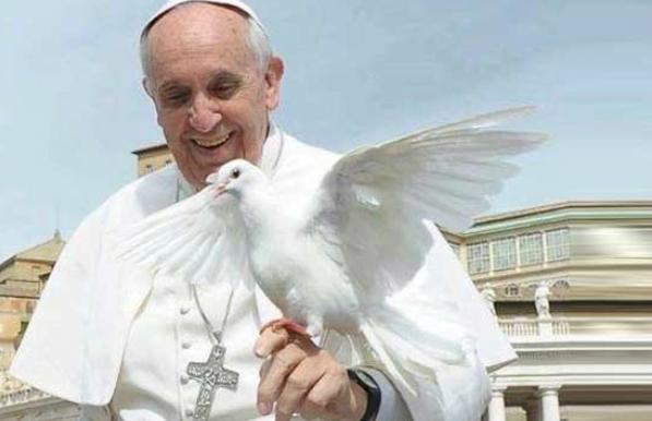papa francesco colomba bianca 2015