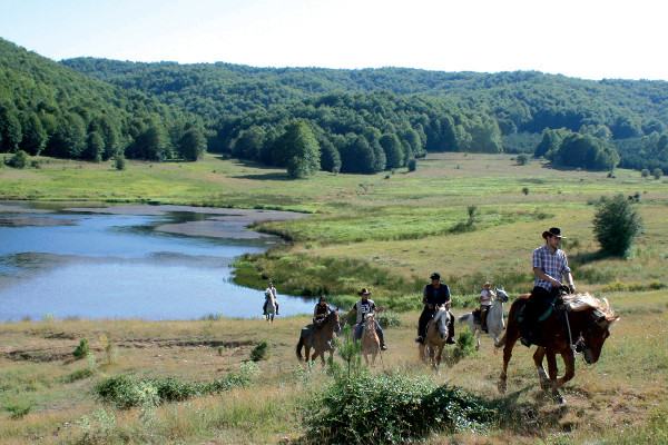 Il Parco della Sila si anima, tra corsi di sopravvivenza e il nuovo Museo della Biodiversità 206 parco nazionale della sila2