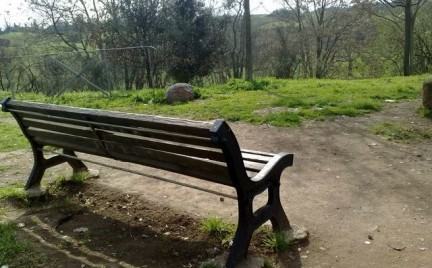 parco stupro cosenza roma