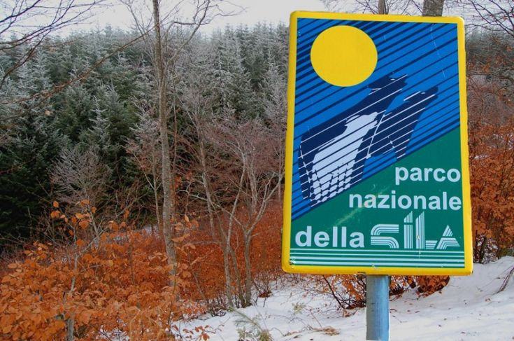 'Premio Sila' ventisei anni di storia. Al via, domani, la nuova edizione 65 parco nazionale della sila