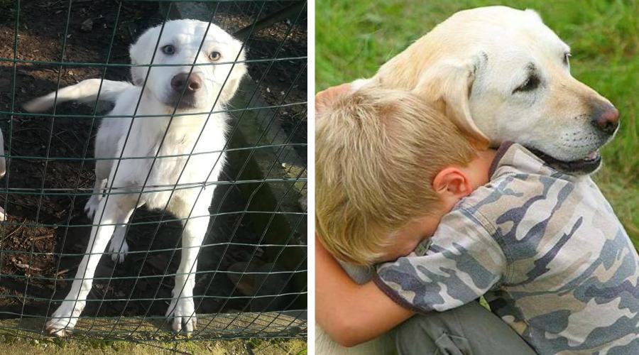 pasquale e cane per bimbi autistici