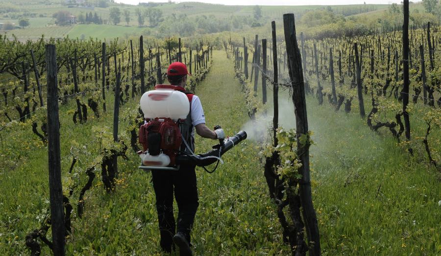 Trebisacce, il Comune promuove il corso gratuito per il patentino fitosanitario 51 patentino fitosanitario
