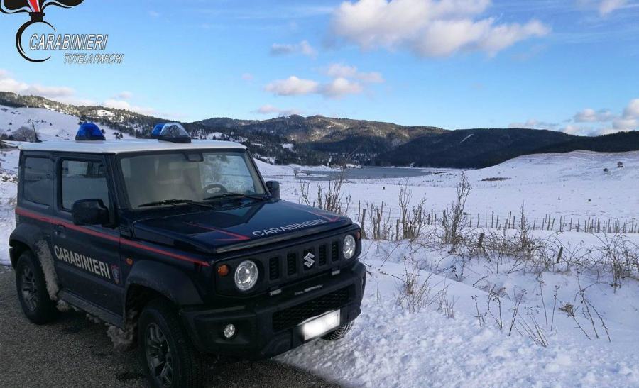 pattuglia parco sila