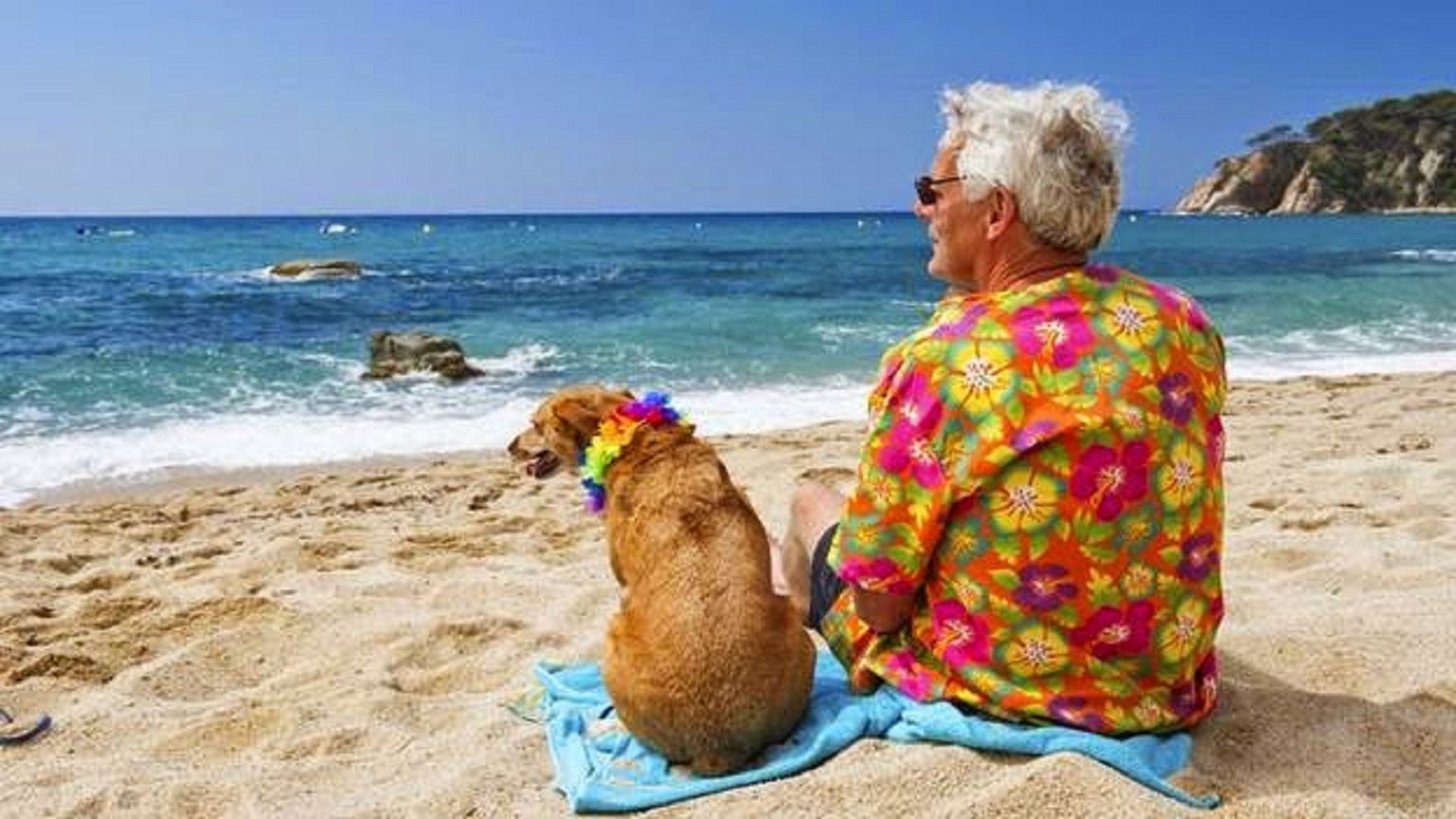 Salvini propone 'zero tasse' per i pensionati che si trasferiscono in Calabria 51 pensionati allestero