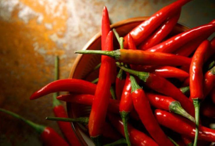 Il Comune di San Marco Argentano a Roma, per la III edizione di 'Sapori, profumi e colori della tradizione' 56 peperoncino proprieta benefici controindicazioni