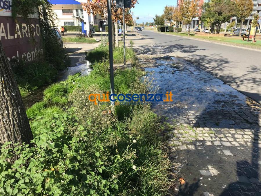 Cosenza: su viale Mancini ennesima perdita di acqua in città 56 perdita acqua viale parco 5