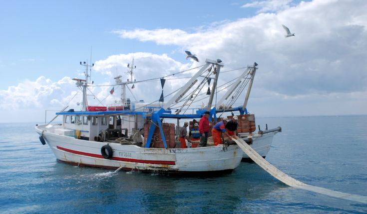 Pesca, al via due importanti incontri di partenariato del Flag “La Perla del Tirreno” 53 pescato