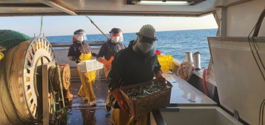 pescatori coronavirus