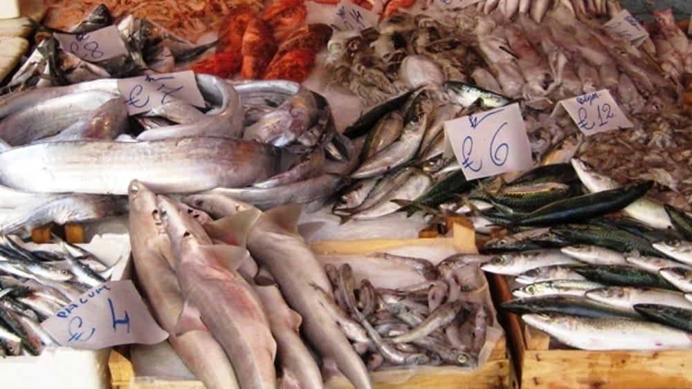 Pescherie e mercati ittici in ginocchio, Abate: "sosteniamo i pescatori calabresi" 51 pesce mercato 3 1