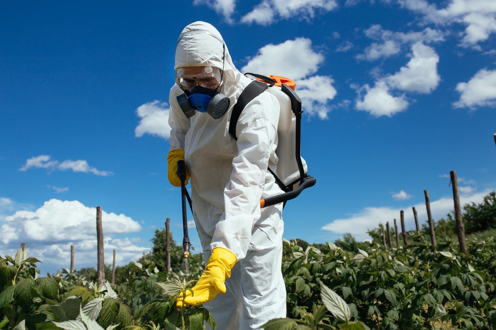 pesticidi erbicidi campi agricoltura uomo Fotolia 133120657 Subscription Monthly M