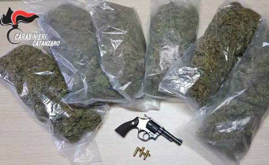 Sorpreso a coltivare marijuana era anche armato, disoccupato in manette 51 piantagione curinga arresto arma