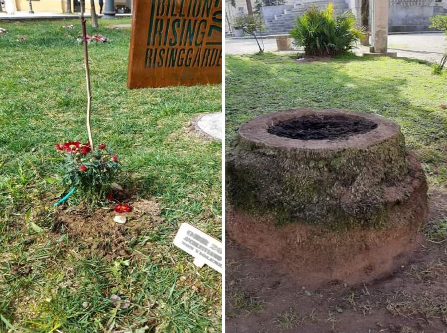 piante via roma villa nuova 1