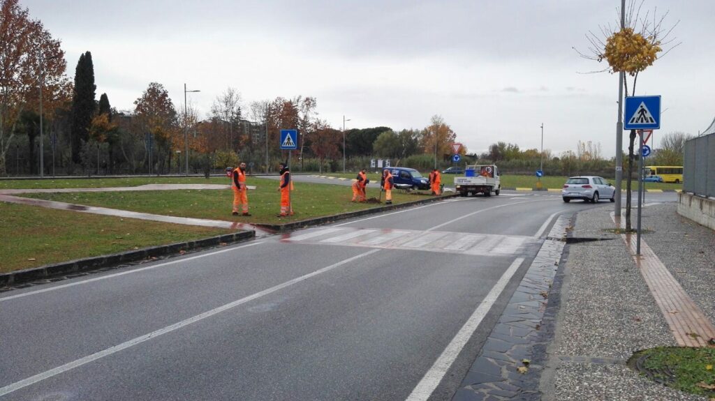 Arrivano 500 nuovi alberi nelle strade della città (FOTO) 1 piantumazione alberi 2