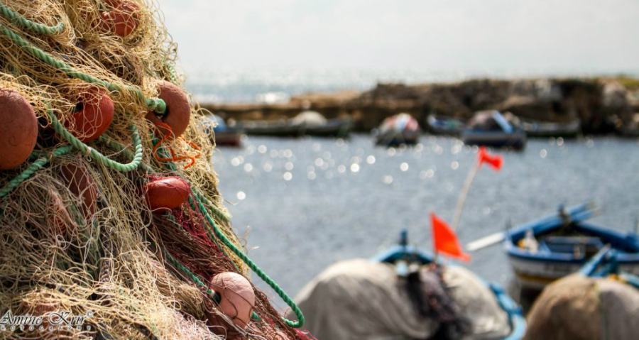 piccoli pescatori pesca 2