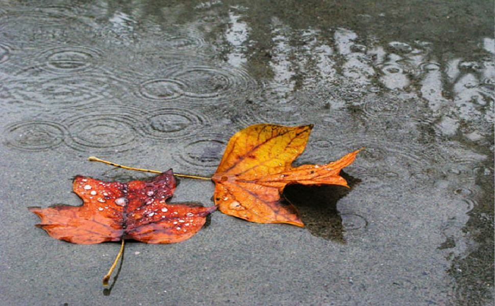 Vortice autunnale fino a domenica. Il tempo migliorerà dalla prossima settimana 51 pioggia autunno 2 1