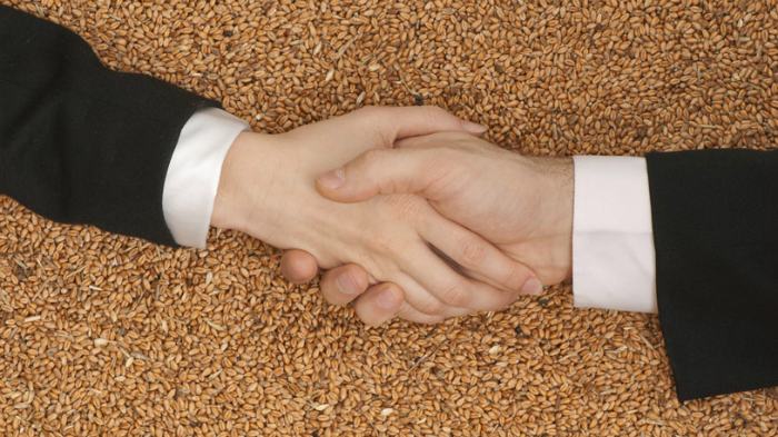 politiche unione europea