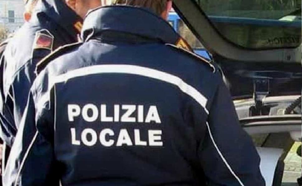 Cosenza: meeting polizia locale, scattano i divieti di transito e di sosta 51 polizia locale 1 1