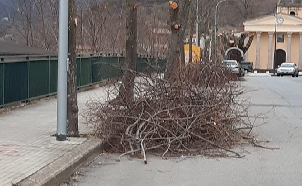 potatura alberi cosenza