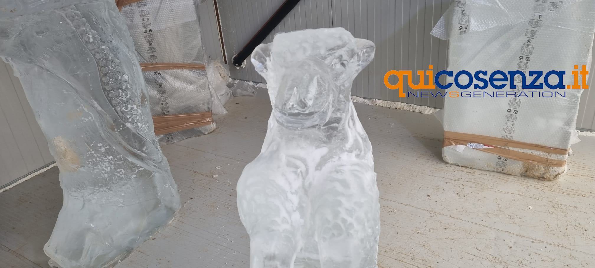 presepe ghiaccio 61