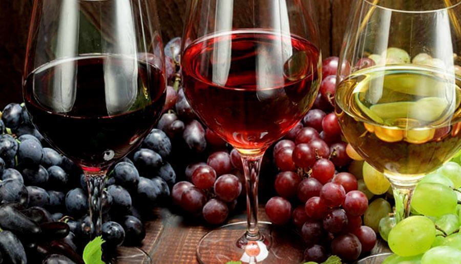 Covid-19: in crisi anche il settore vitivinicolo. Incontro tra Regione e produttori 53 produzione vitivinicola