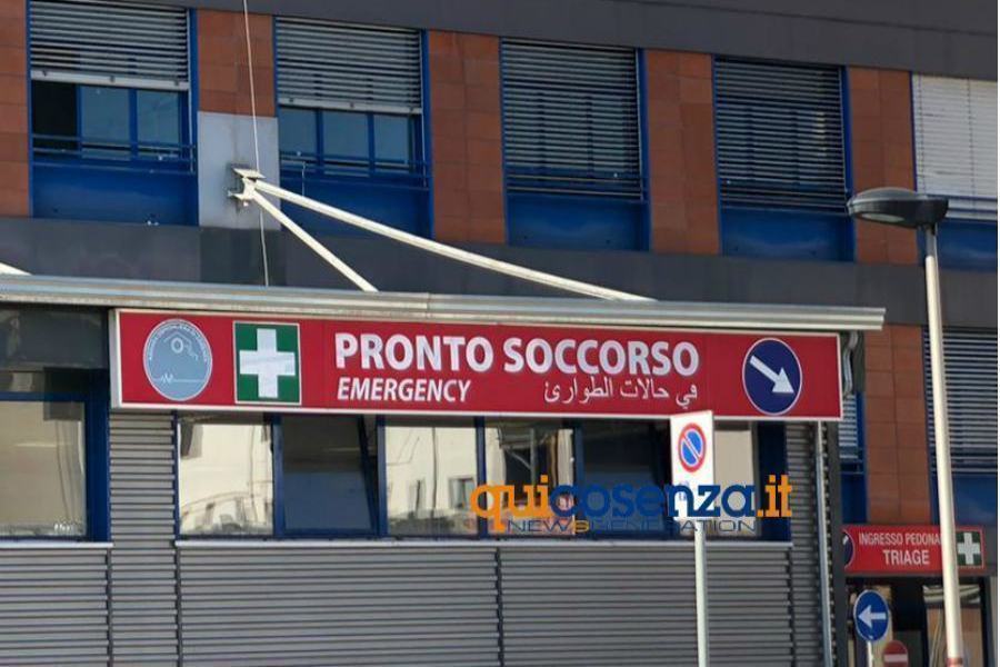 Cosenza: morsa da una vipera entra in coma, salvata dai medici dell'ospedale 51 pronto soccorso ospedale Cosenza Annunziata 01 1