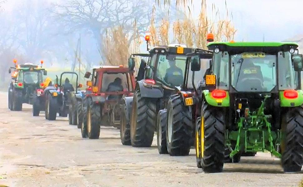 Guerra e paralisi dell'agricoltura, da Cosenza il grido d'allarme "aiuti al settore" 51 protesta Trattori