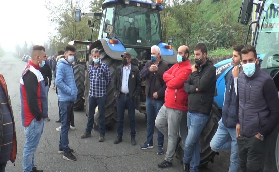protesta cosenza 1