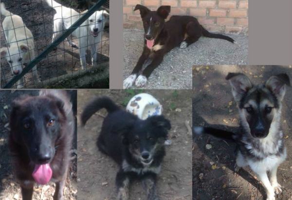 quilazampa 23 sett 1