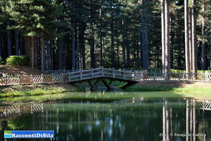 racconti di sila2 portalesila