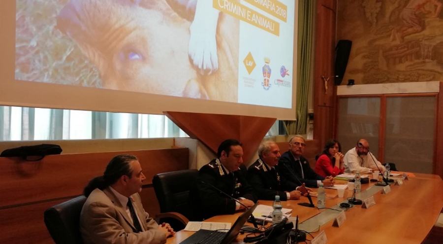 rapporto criminalita animalil 2018 01