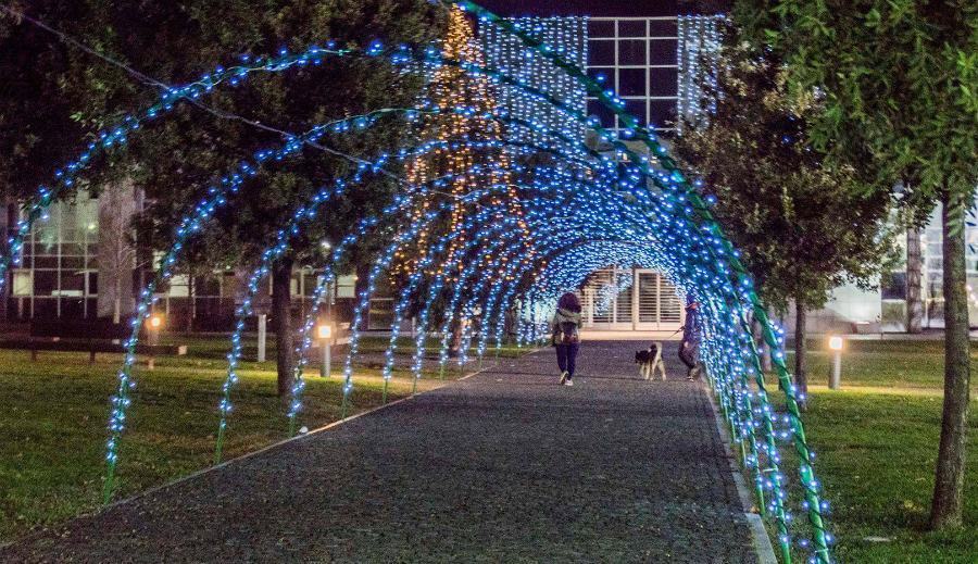 rened luminarie natale 2017