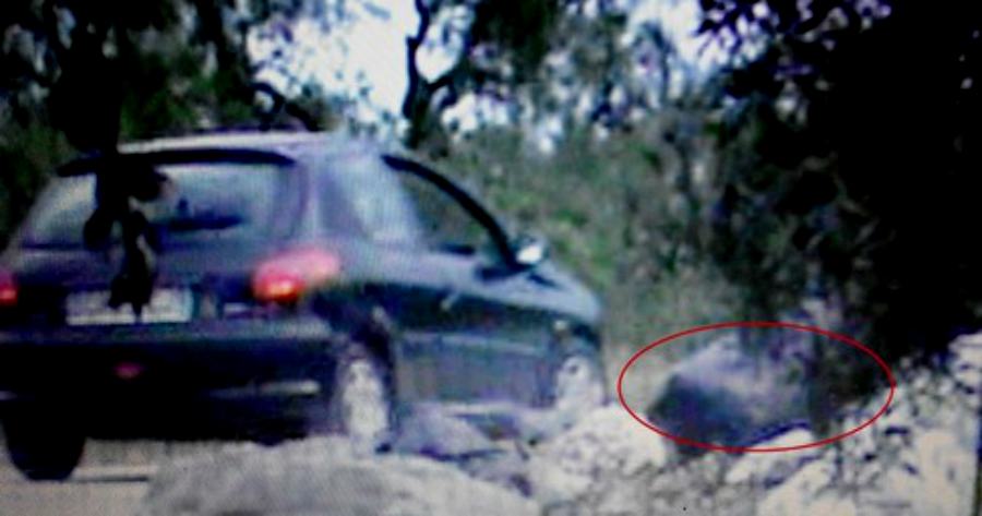 Legambiente Cerisano dichiara guerra agli incivili, e con le fototrappole fioccano le multe 51 renoult abb foto trappola