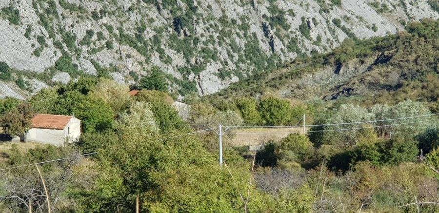 Potenziata rete elettrica in un'area del Pollino tra Civita e San Lorenzo Bellizzi 51 rete elettrica