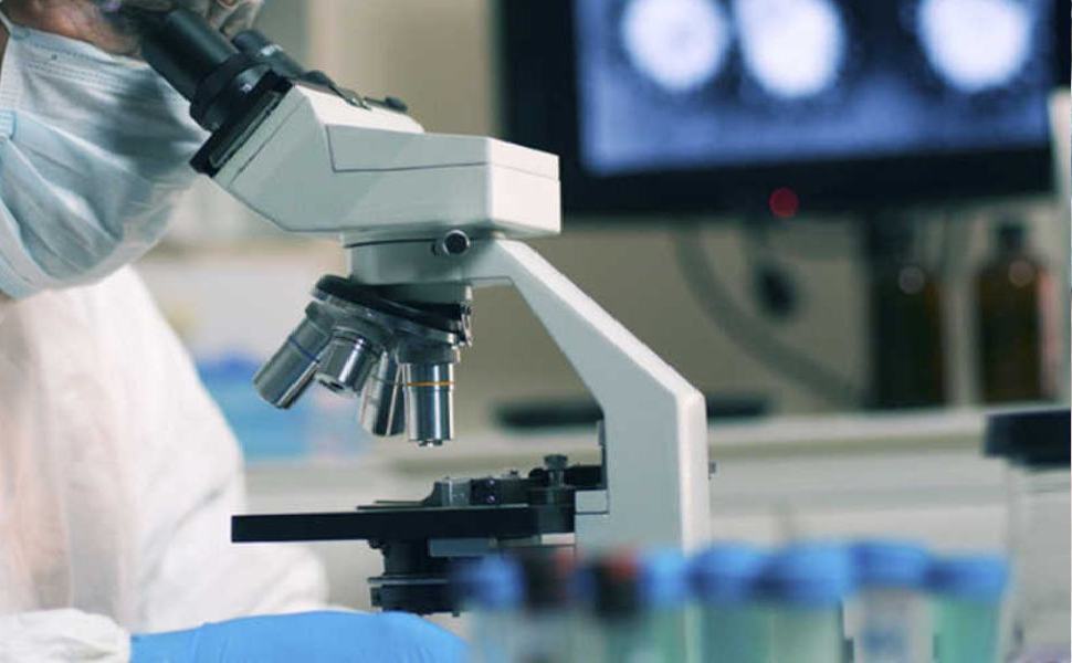 ricerca coronavirus universita 1 1