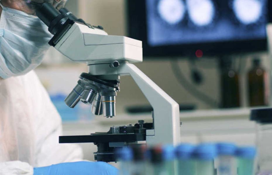Covid: 4,5 milioni per la ricerca coinvolgendo gli atenei calabresi 51 ricerca coronavirus universita