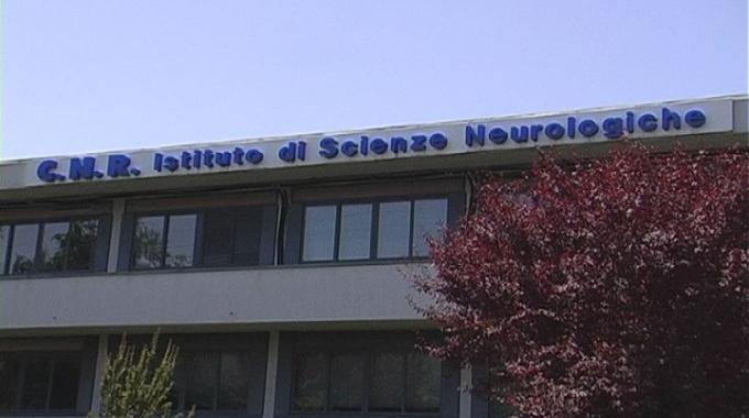 ricerca cosenza mangone