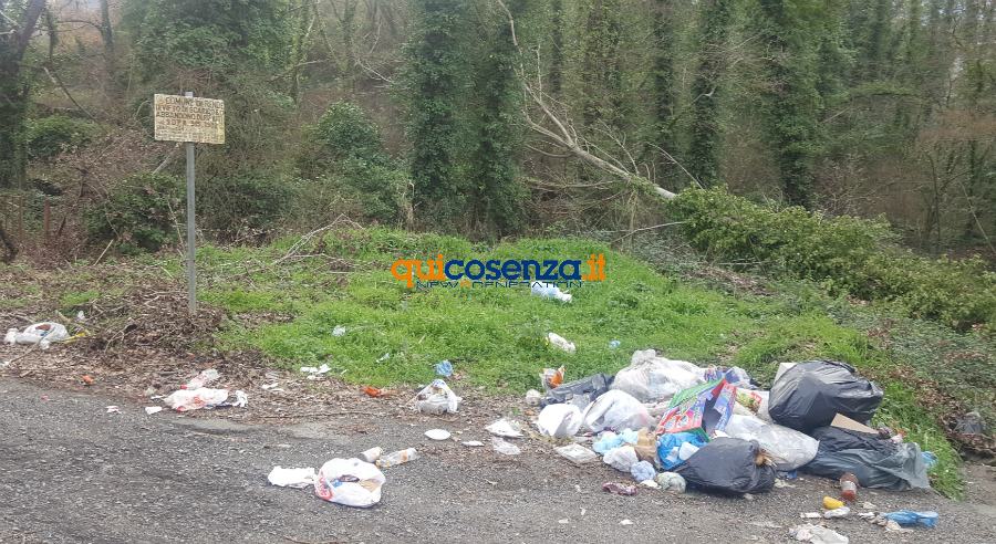 rifiuti contrada vallone Rende 02
