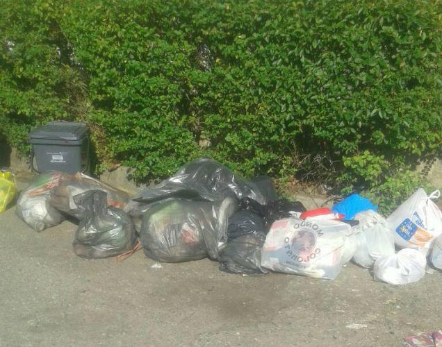 Differenziata Rende, tra i tanti disservizi raggiunto il 65%. Miceli propone: "Chi più ricicla, meno paga" 60 rifiuti per strada a Quattromiglia 2