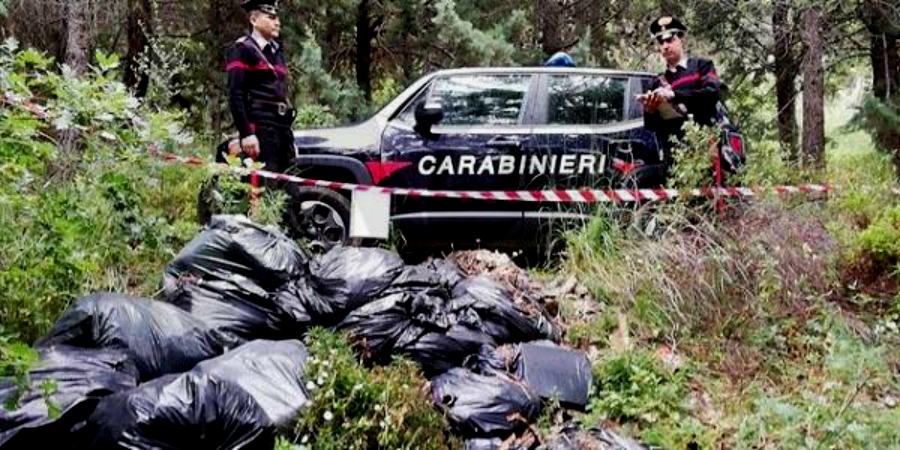 rifiuti san demetrio corone supermercato