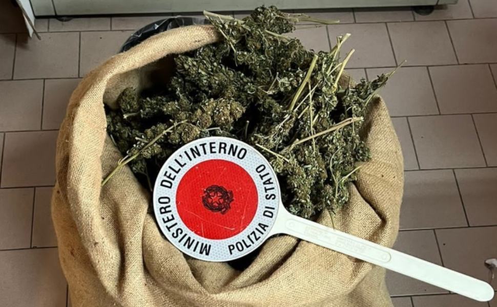 rinvenimento marijuana