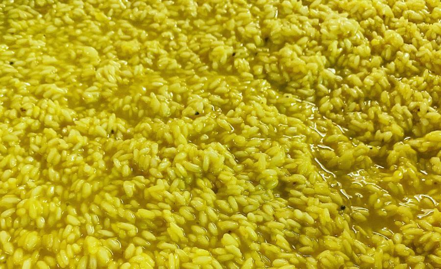 riso con pesto fiori di zucca