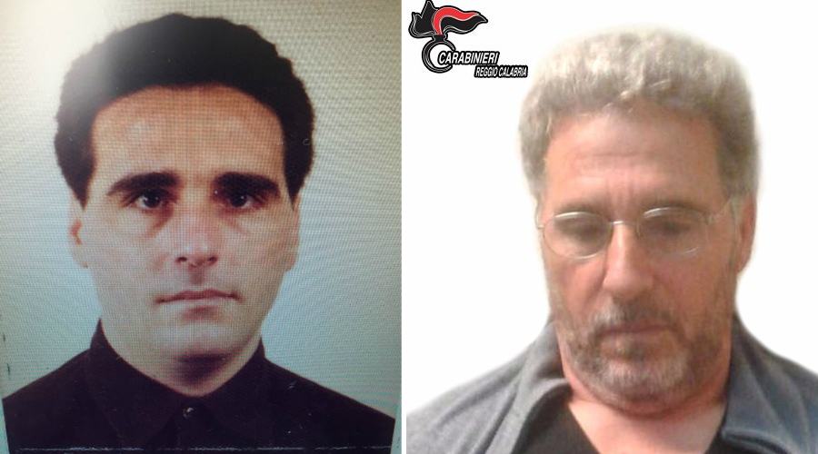 rocco morabito